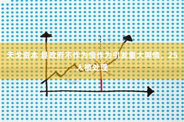 天戈资本 县政府不作为慢作为引发重大舆情，25人被处理