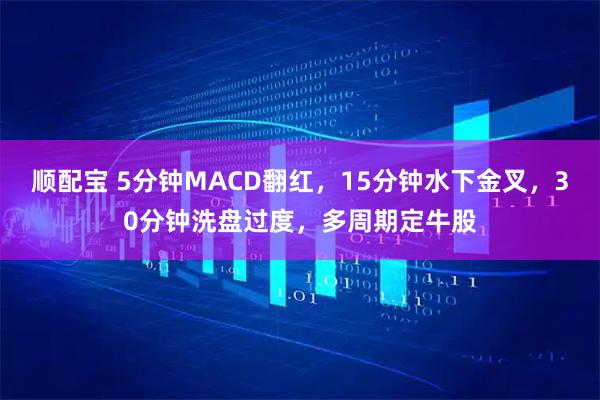 顺配宝 5分钟MACD翻红，15分钟水下金叉，30分钟洗盘过度，多周期定牛股