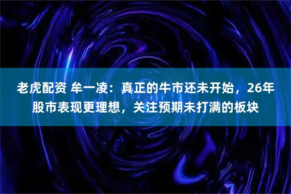 老虎配资 牟一凌：真正的牛市还未开始，26年股市表现更理想，关注预期未打满的板块