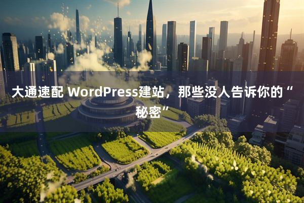 大通速配 WordPress建站，那些没人告诉你的“秘密”