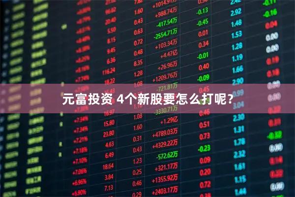 元富投资 4个新股要怎么打呢？