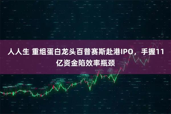 人人生 重组蛋白龙头百普赛斯赴港IPO，手握11亿资金陷效率瓶颈